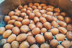 Roasted acorns